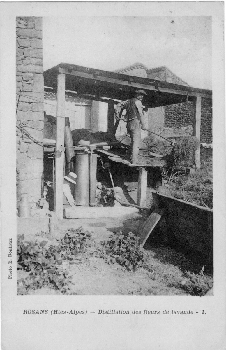 lecartographe's tweet photo. La distillation des fleurs de lavande, une ancienne carte postale : #Rosans (Hautes-Alpes) 🇫🇷 https://t.co/k2DnnBAtp8