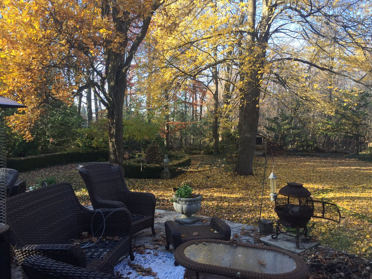 Janetbirdope's tweet photo. Chilling with #ACR20 at home. Actually warmer in London Ontario Canada for #ACR than #EULAR20. Mixed up weather but keeping facts straight @RheumNow @CRASCRRheum https://t.co/bjiwML9Wh9
