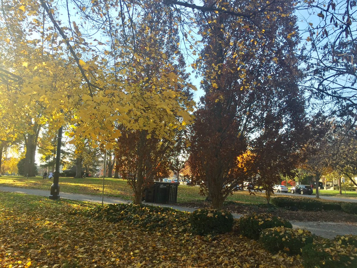 Janetbirdope's tweet photo. Chilling with #ACR20 at home. Actually warmer in London Ontario Canada for #ACR than #EULAR20. Mixed up weather but keeping facts straight @RheumNow @CRASCRRheum https://t.co/bjiwML9Wh9