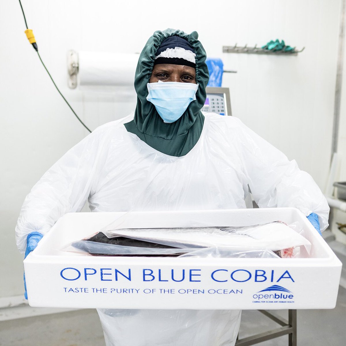 OpenBlueCobia's tweet photo. We support diversity & inclusion; local hiring is a 🔑 factor in our vertically integrated operations 💙
...
#openblue #cobia #openbluecobia #sustainable #oceanraised #omega3 #whitefish #certifiedsustainable #kosherfish
🐟
@ASC_aqua @BAP_Aquaculture @friendofthesea @SeafoodWatch https://t.co/ze6OpuvKN2