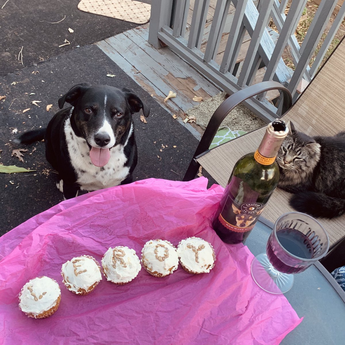 labs_research's tweet photo. Dogtor Leroy celebrated his birthday this weekend! He got what he wanted - dogs back in the White House! Representation is key. 🐾🐾 https://t.co/d09R6sztIy