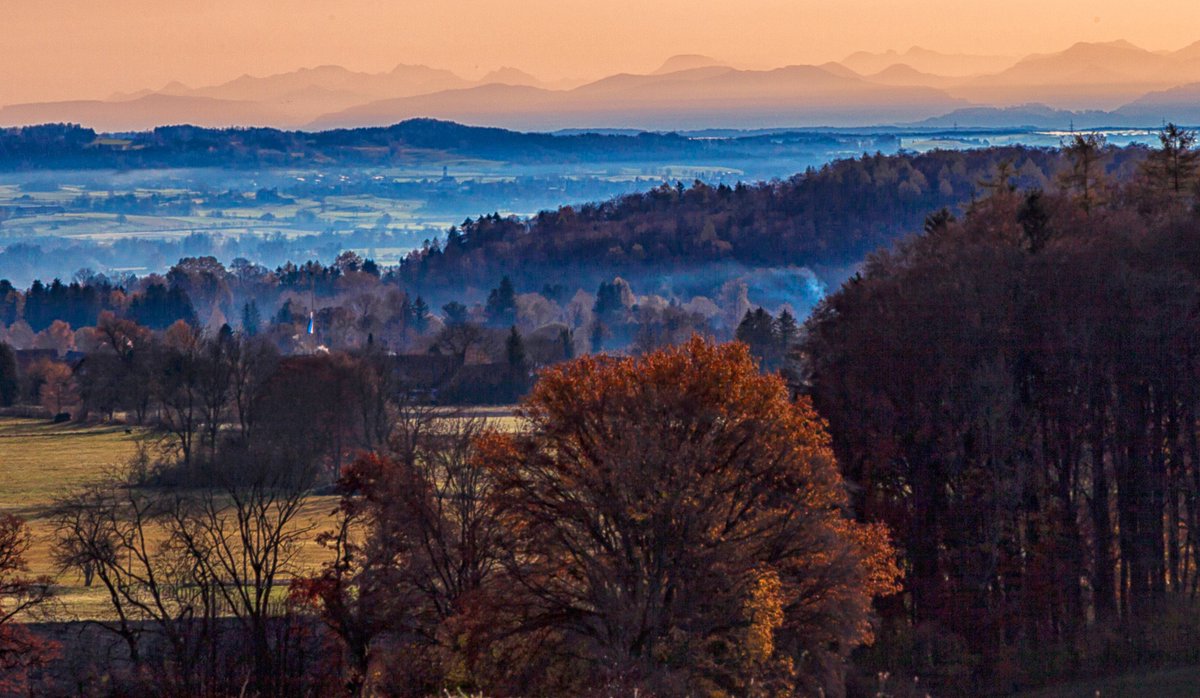 StormypicturesD's tweet photo. The Morning Mist #landscapephotography #weatherphotophotography #ammersee #diessen #Fünfseenland #upperbavaria #alps #mountains #autumn #autumnphotography #seasons #naturephotography https://t.co/2fr4csW8Dt