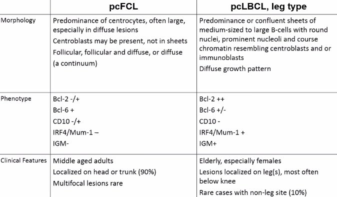 RyanneMDMBA's tweet image. Amazing pearls from @LynDuncanMD ‘lymphoma or not?’ slide session #ASDP20