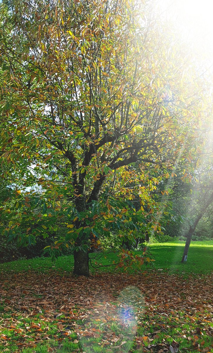 Un dimanche automnal à souhait 🌞