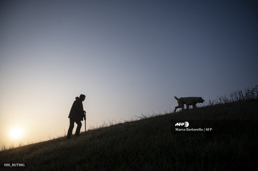 AFPphoto's tweet photo. #Italy - Despite new measures to stop the spread of the Covid-19, truffles hunters are allowed to search in the countryside in Italy. 📸 @MBer12 #AFP https://t.co/4fo814FTrC
