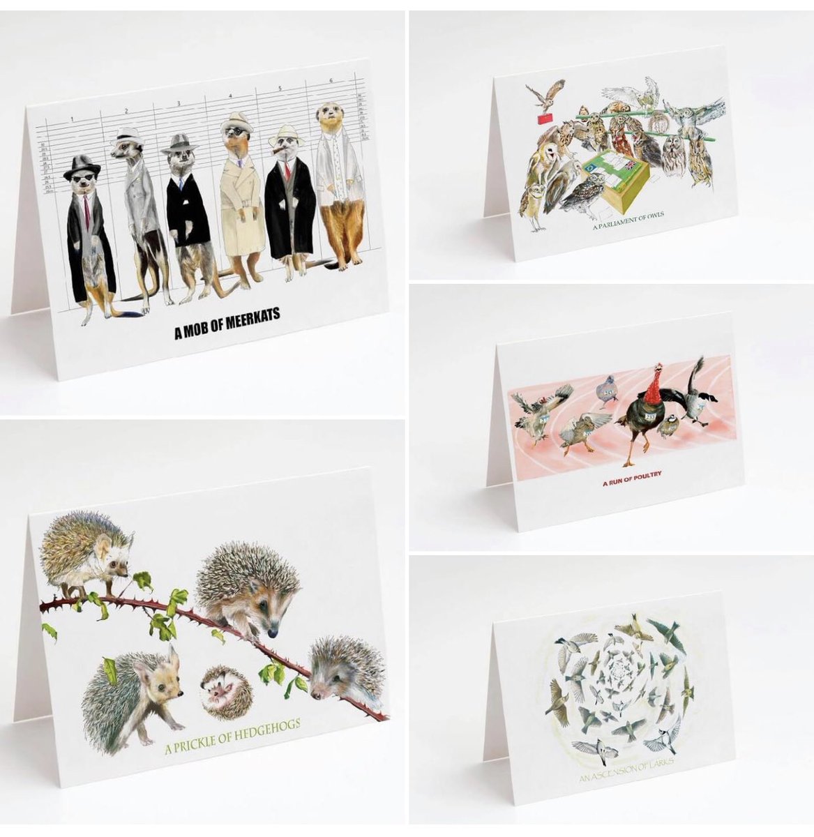 The Collective Nouns Collection. Click this link to see all 12 of my collective nouns paintings....

etsy.me/2qKcVaX

#meerkats #owls #flamingoes #crows #poultry #larks #hedgehogs #puffins #Penguins #hounds #raccoons #bears #collectivenouns #funny #watercolour #art