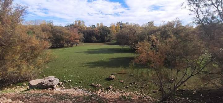 Orientabike_He's tweet photo. Localizaciones del próximo Campeonato de España de U-Score MTB-O 2021 en Agramón (Hellín) #orienteering #MTBO https://t.co/tKRJI6mk1S