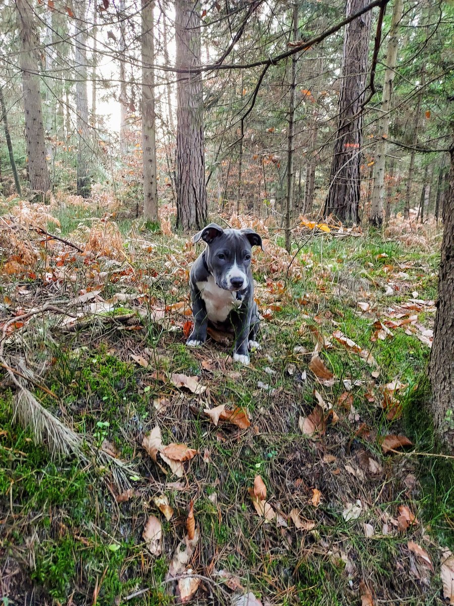 PrimozRenegade's tweet photo. #SuccessfulWeekend https://t.co/zdwqHJAAvx