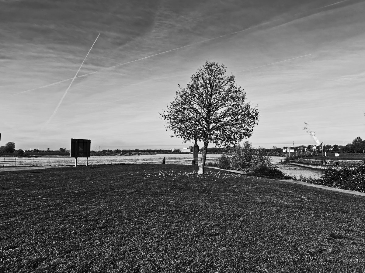 PhotographyCol2 tweet picture