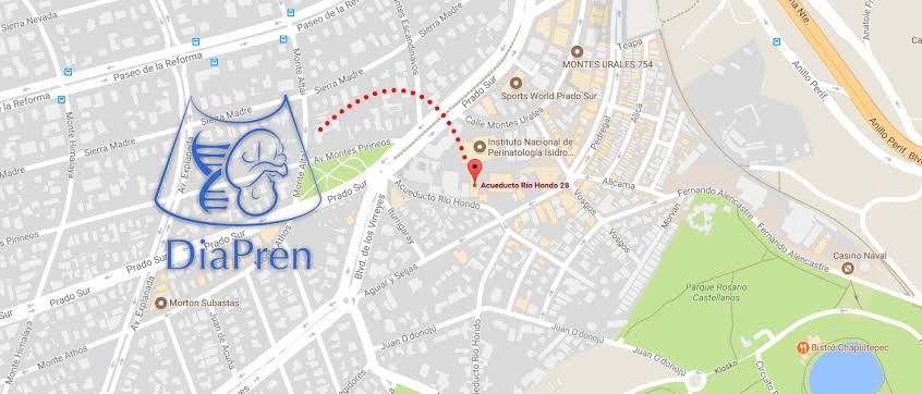 centrodiapren's tweet photo. ¡#VenADiapren!

Centro de Diagnóstico Prenatal DiaPren
Acueducto Río Hondo No. 28,           Lomas Virreyes, Lomas de Chapultepec, Miguel Hidalgo, 11000 Ciudad de México, CDMX
55 5282 5839

https://t.co/NaKob8M6OM https://t.co/SeouDN2W6u