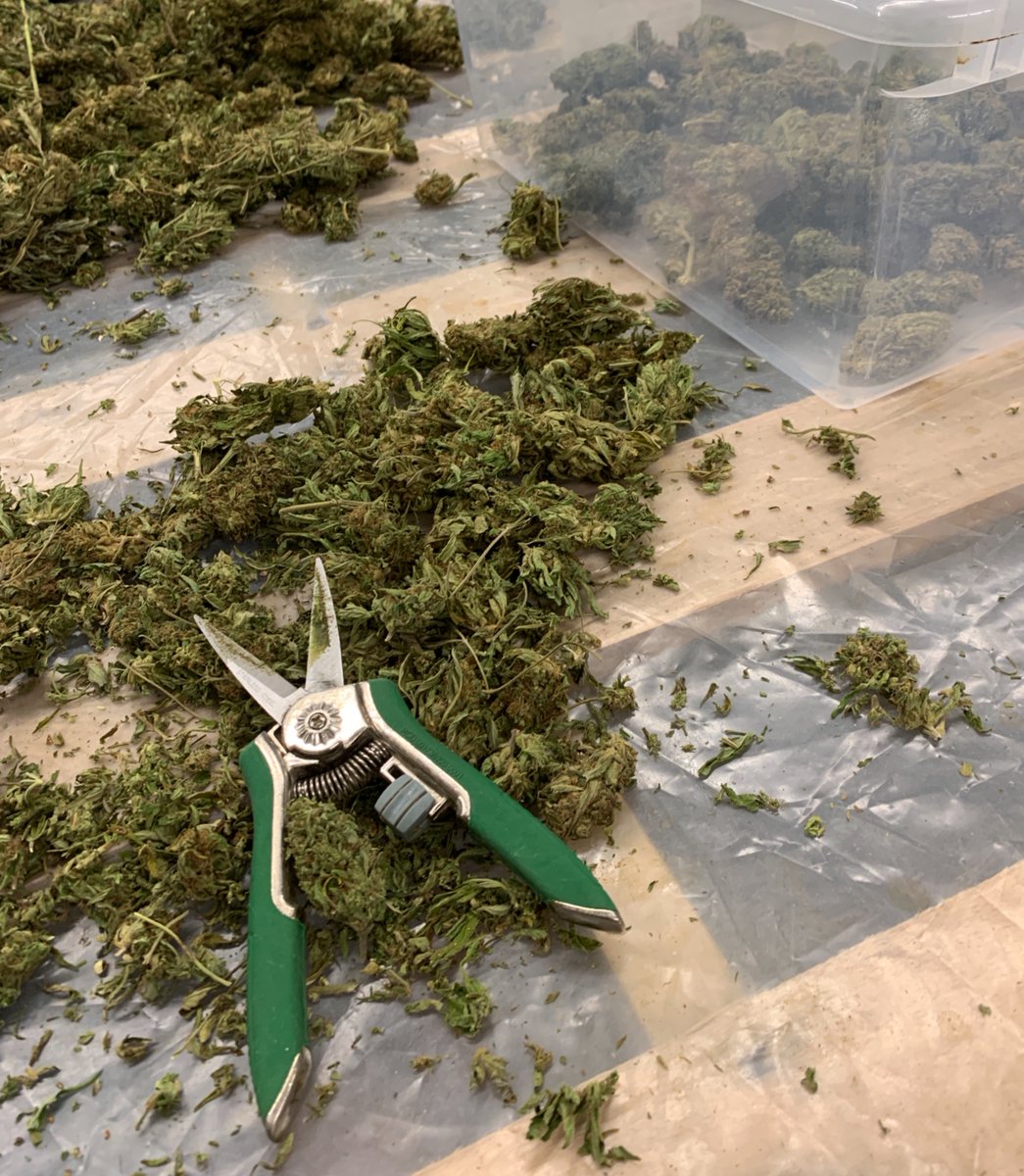 NewHopeCBD's tweet photo. How is your Sunday going?
#cbdsunday #trimmytrim #cbdflower #cbdbuds #cbd #cbdwholesale #growtherevolution #makingmagic #hemp #newhopecbd #terryvillect #localcbd #getyours #cannabinoid #cannabinoids #endocannabinoids #cbdforthebody #medicineforthesoul #howmaywehempyou https://t.co/4HXf87Sne8