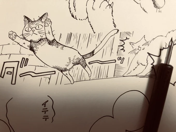 ネコチャン 