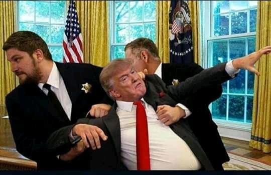 بسمة خالد tweet media