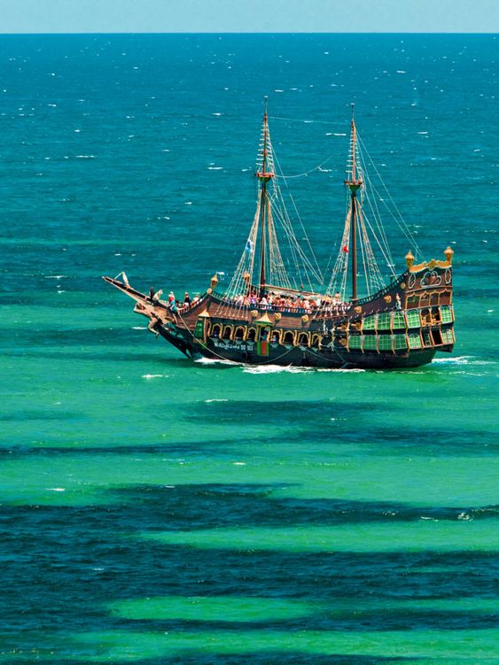 Thread: 6 fun facts about Tunisians and...FishJokes about Tunisian fish couscous (which btw, tastes amazing) are a common occurrence on this app, but Tunisians and Fish love story goes way beyond just couscous and is ultimately linked to their love for the sea.