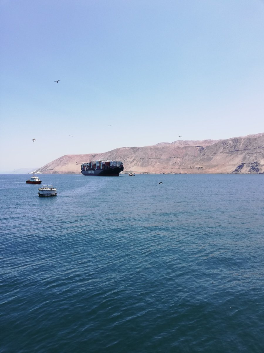 robgom7329's tweet photo. Ingreso MN CISNES, sition N°4 @ITI_Iquique puerto de #iquique https://t.co/QrJ2RzYPdu