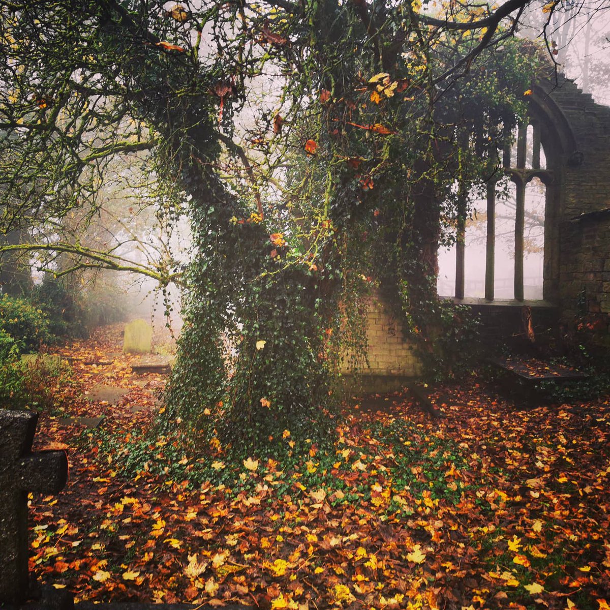 darren1man1bike's tweet photo. I do love a walk in the mist. A wander around my local area. Don't let 'bad' weather stop you from doing things.
#nature https://t.co/0tXWH9MExl