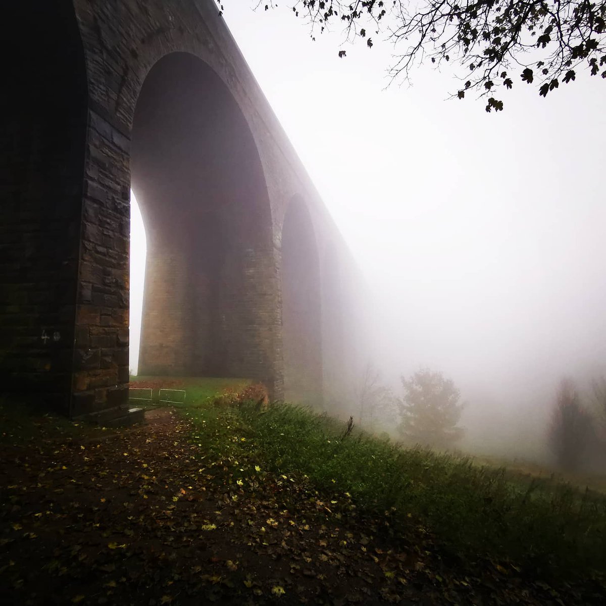 darren1man1bike's tweet photo. I do love a walk in the mist. A wander around my local area. Don't let 'bad' weather stop you from doing things.
#nature https://t.co/0tXWH9MExl