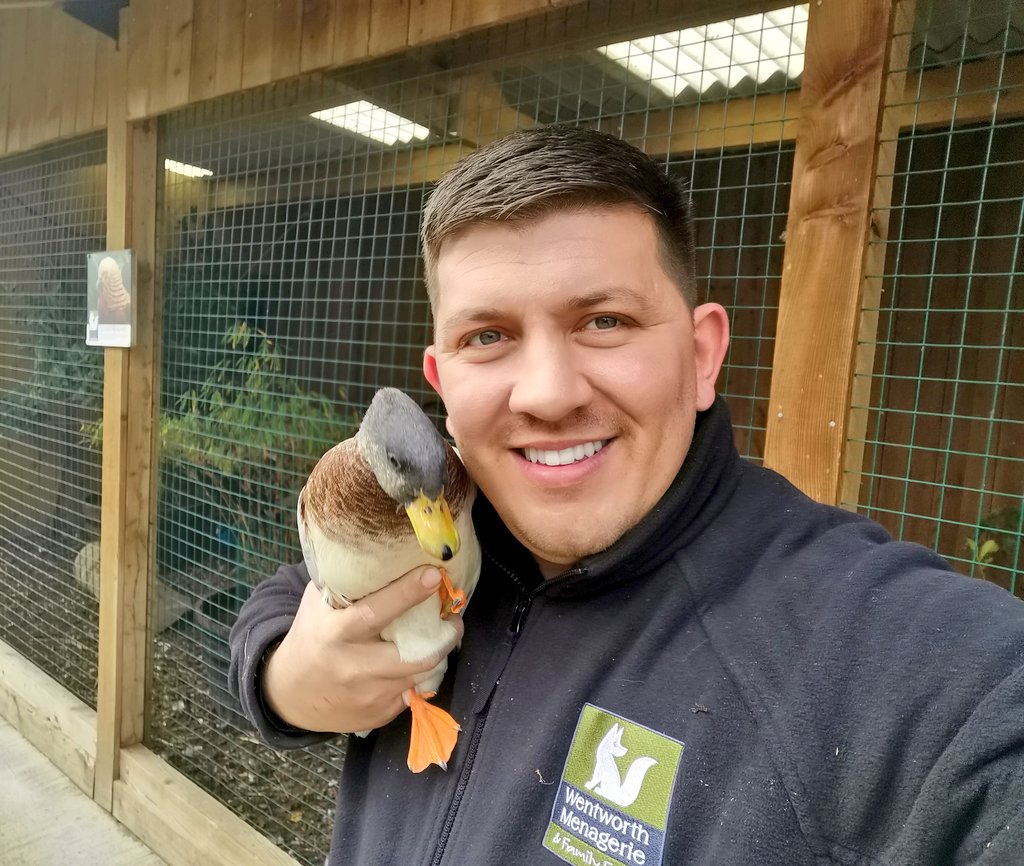 Wentworth Family Farm tweet media