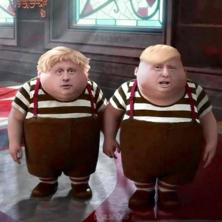 EmmaJenkins7's tweet photo. One down one to go #tweedledumbandtweedledee #USElection2020 #byetrump #borisnext #BidenHarris2020 https://t.co/B4QPlq4Gec