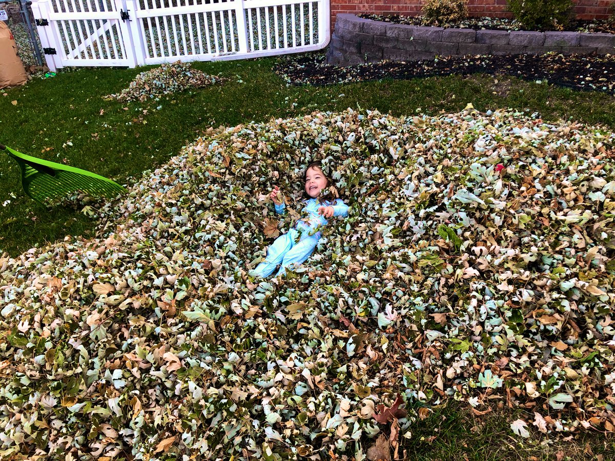 Husker_Nick's tweet photo. Got up and raked half my front yard.... I wonโt be able to breath tomorrow but Juggernaut was happy. @KZKX969 #FallinNebraska https://t.co/7sv6XNkBpr