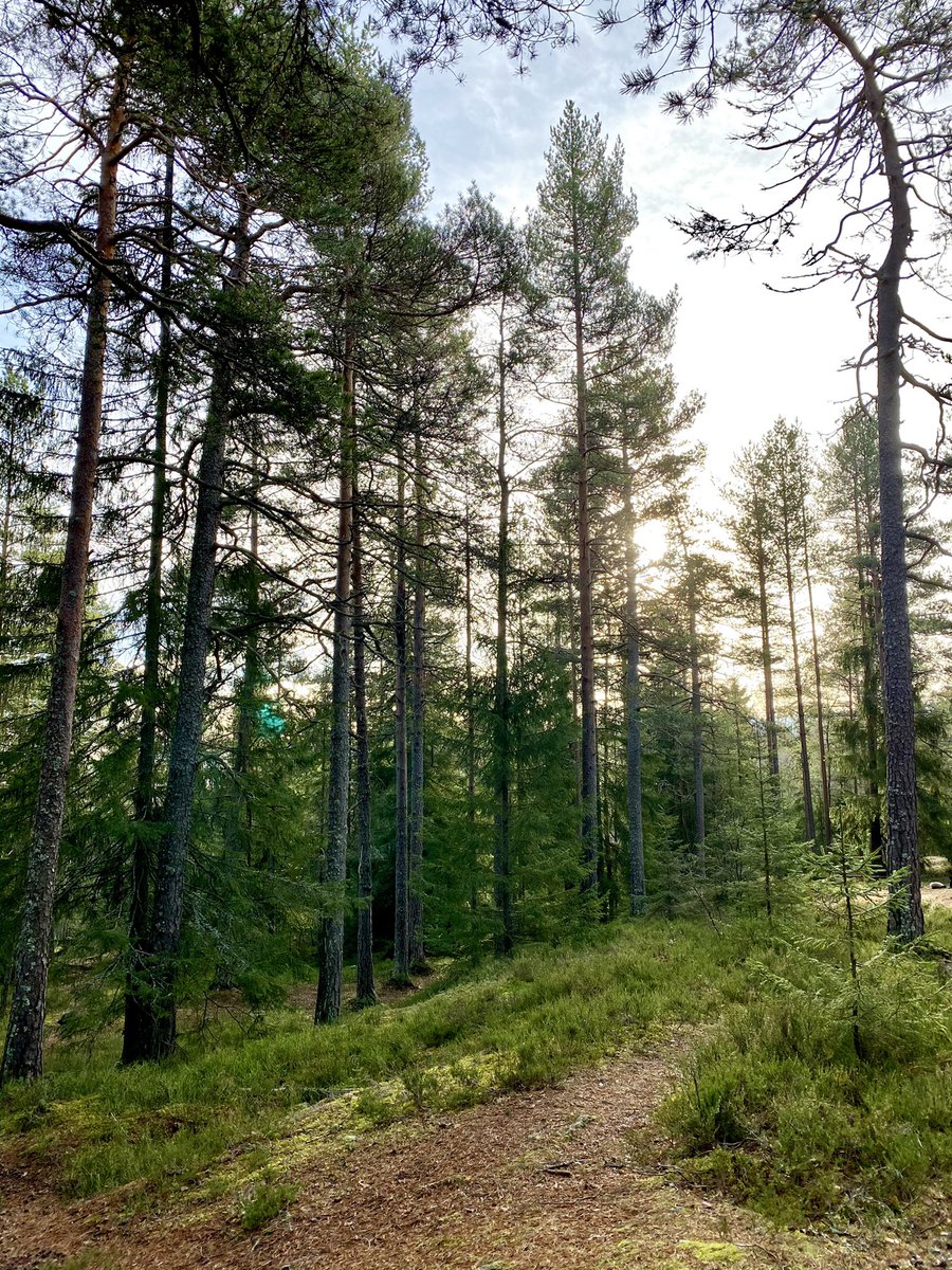 ThroughNatures's tweet photo. Outdoor trip with my amazing classmates💚 https://t.co/VOw1tFpgA0