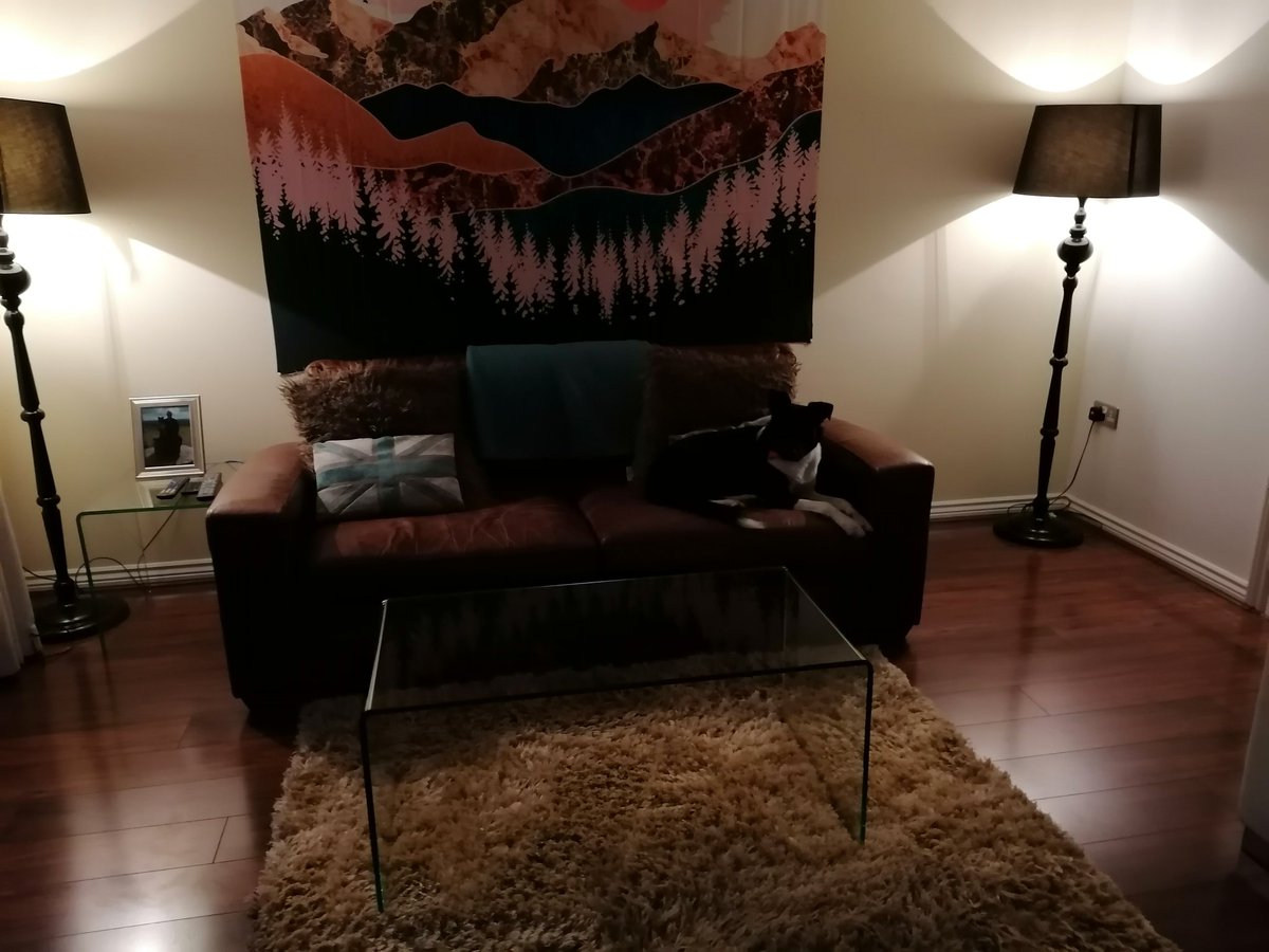 RunFurnoRun's tweet photo. Lounge Finally #dogproof such a hectic two weeks with work #BuildingBritainbetter and my shocking #mentalhealth it was nice too do something #justforme Not sure Woody approves though Far too Tidy for a doggie https://t.co/msTeyp8Zob