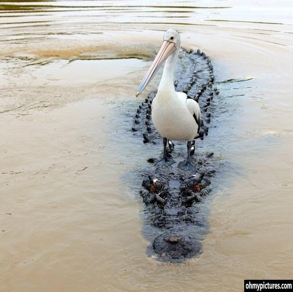 GatorsDaily's tweet photo. actions have consequences https://t.co/yqMIpkqiqs
