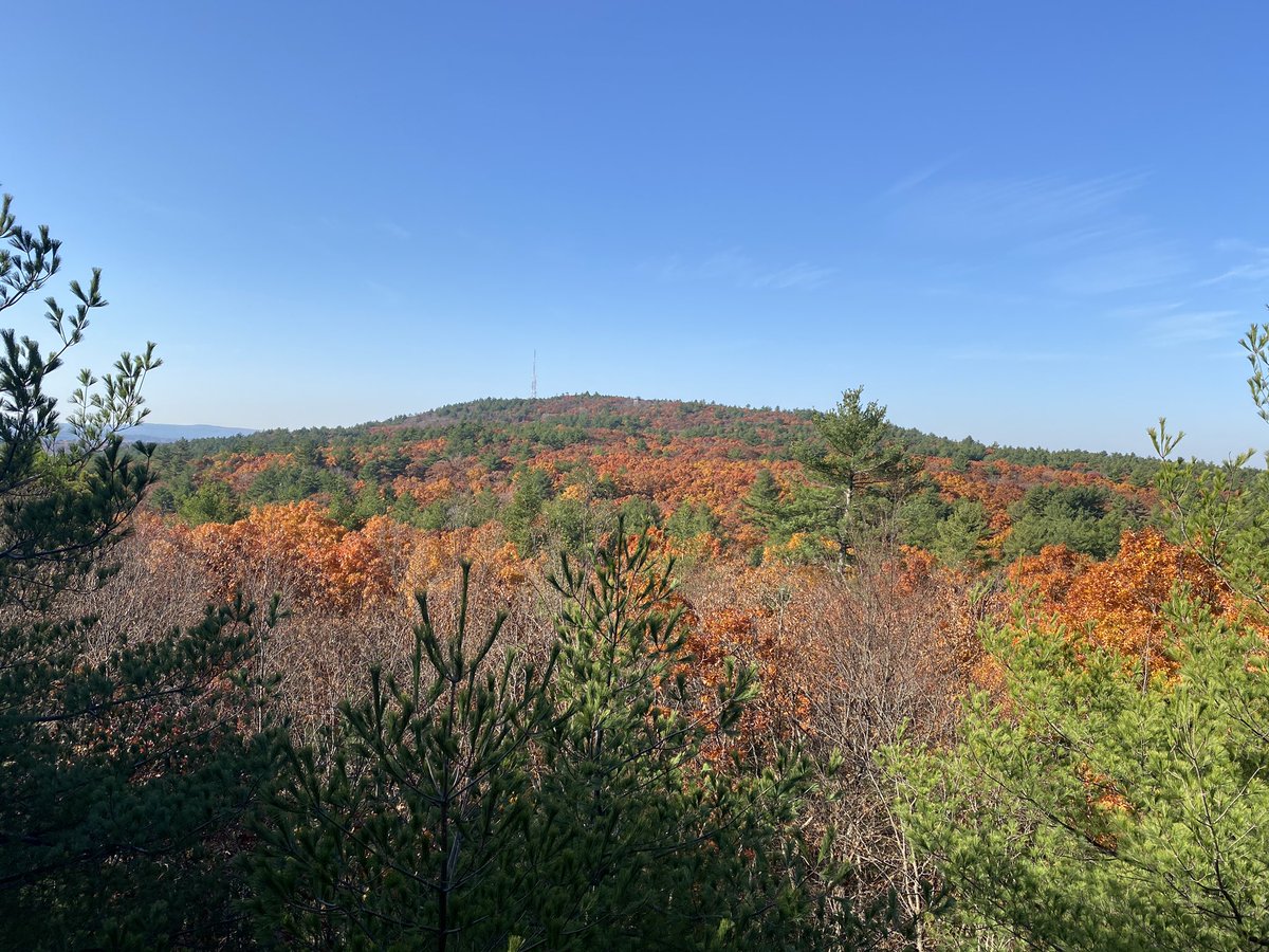 rootsontrail's tweet photo. Beautiful day to be outdoors. Filled two garbage bags. If you enjoy the trails, pack out your trash and leave no trace!
#bluehillsreservation #lovebluehills #hiking #hike #trailtherapy #bluehills #leavenottrace #lnt #optoutside https://t.co/umJ9EXxHD3