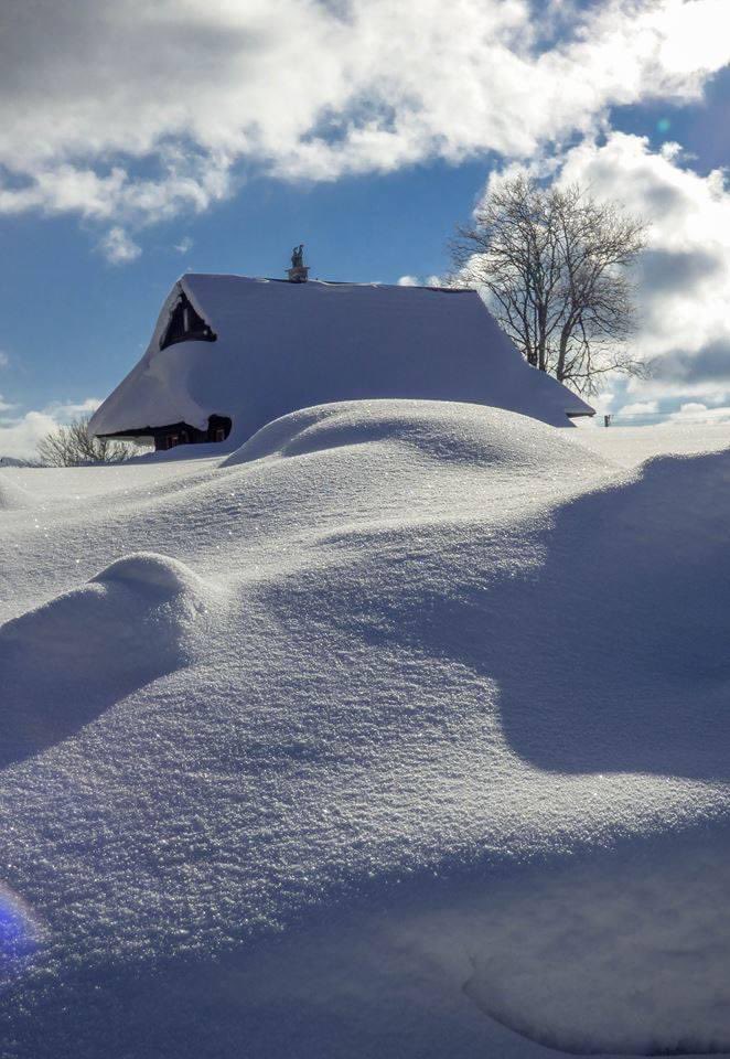 ThisIsSlovakia_'s tweet photo. We can’t wait for #winter season to come ❄️🎿 #ThisIsSlovakia 🇸🇰

#Slovakia #slovensko #travel #snow #traveltips #landscapephotography #hightatras #tatry #winteriscoming 
(📷 Dana Dubcova) https://t.co/mb9ET3h5vB