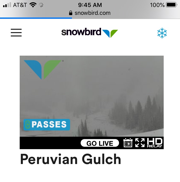 paul frandsen tweet media