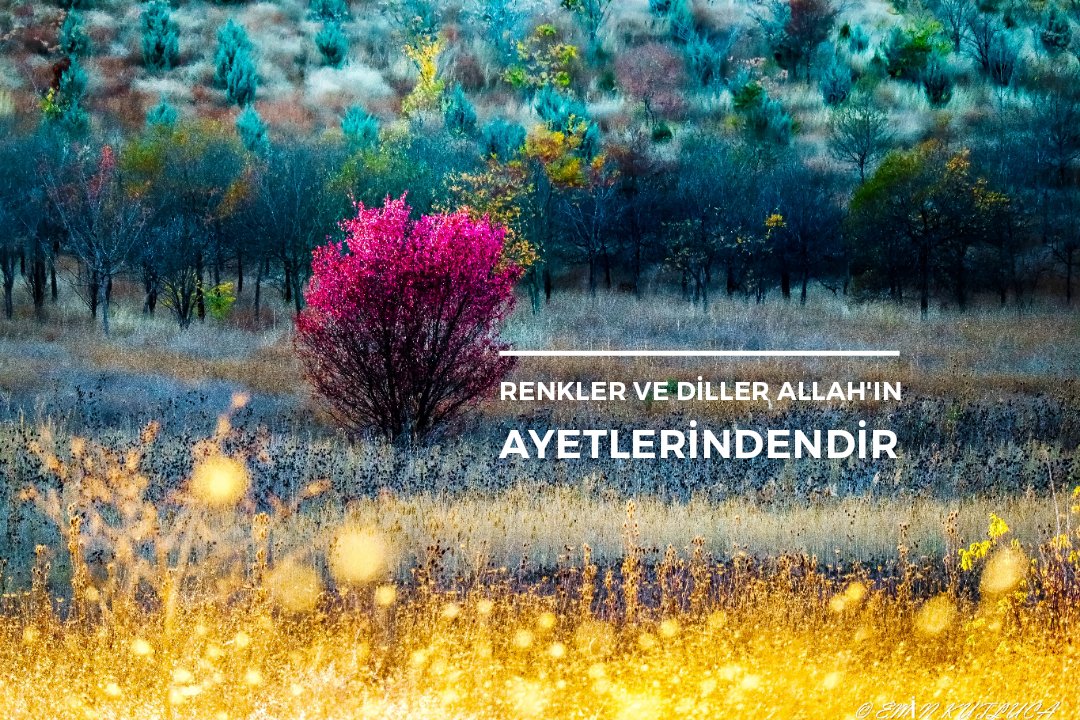 damlasukaya06's tweet photo. #Bismillahirrahmanirrahim

O'nun varlığının ve kudretinin delillerinden biri de: 

Gökleri ve yeri yaratması, lisanlarınızın ve renklerinizin farklı olmasıdır. 

Elbette bunda bilen ve anlayan kimseler için ibretler vardır.”

 #Rum22 https://t.co/jCV79TS8HW