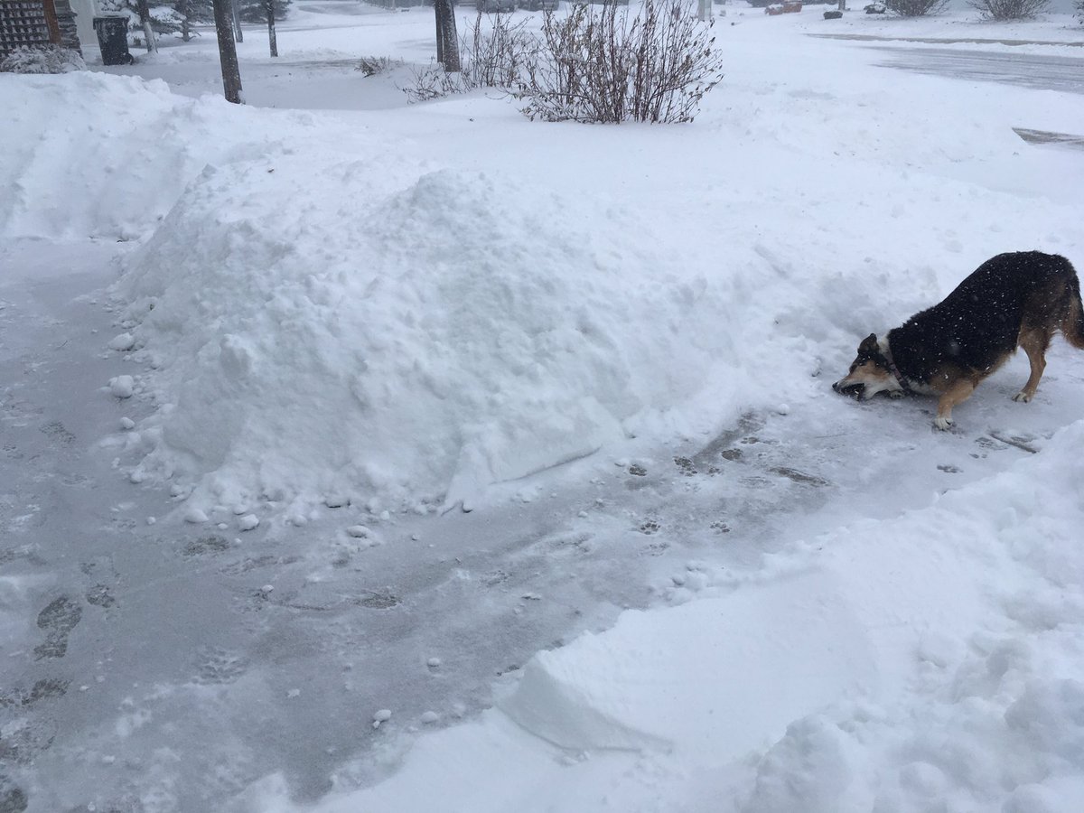 Tina27Twit's tweet image. Abba doesn’t mind it, but I’m tired of this bullshit already ❄️💨😒 #yql #ABStorm #GetInside