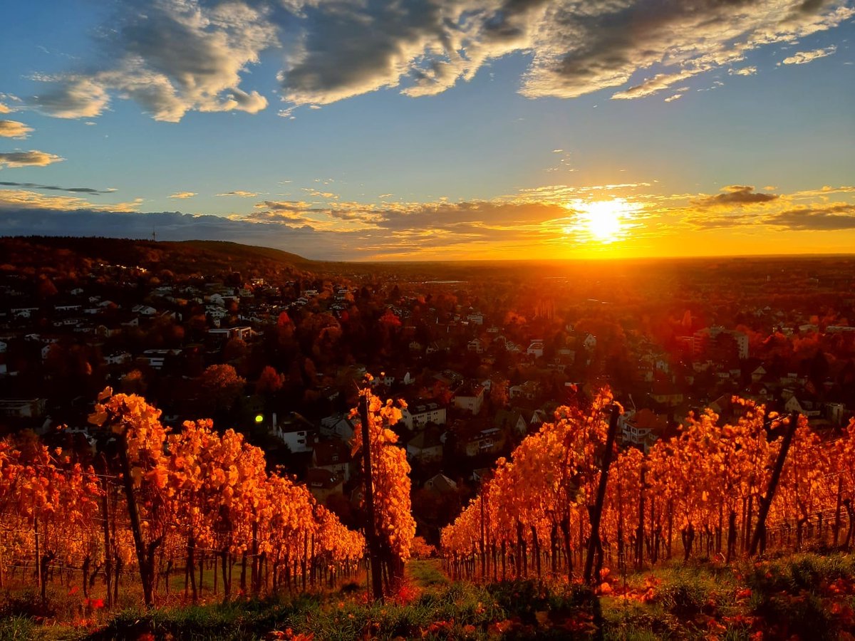 Sonnenuntergang auf dem Turmberg 😍 Wow! Was für eine tolle Stimmung! ❤️😊