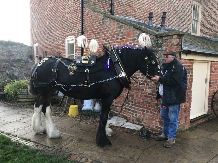 B055LOG's tweet photo. with remembrance day restricted  to attend. However for her exercise we put her half harness with her various war brasses and not to forget her purple poppies to honour the fallen animals . we all payed our respects from a safe distance of the coal yard entrance. https://t.co/I9C9g3B5vn