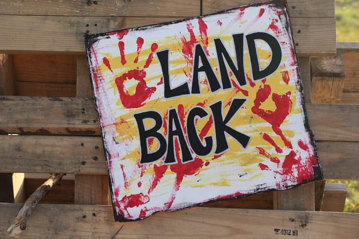CLP_OFL's tweet photo. Amazing turn out at the @OFLabour  action at #1492LandBackLane yesterday. Labour leaders &amp; community members joined Indigenous Singer-Songwriter @LoganStaats, winner of CTV’s “The Launch”, in support of land defenders. #PowerOfMany #LandBack #RespectTreaties https://t.co/fU4lHvuQEq
