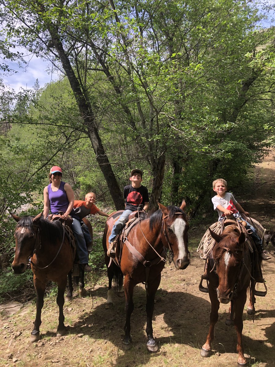 BigCanyonBeef's tweet photo. Happy 29th Birthday (again) to this hot momma! Don’t have many pics because she’s usually the one behind the camera. Couldn’t ask for a better bookkeeper, beef peddler, chaos controller, ranch wife, and momma for these 3 crazy boys. Just lucky I couldn’t find your shower cap pic! https://t.co/zIVljDgAbY
