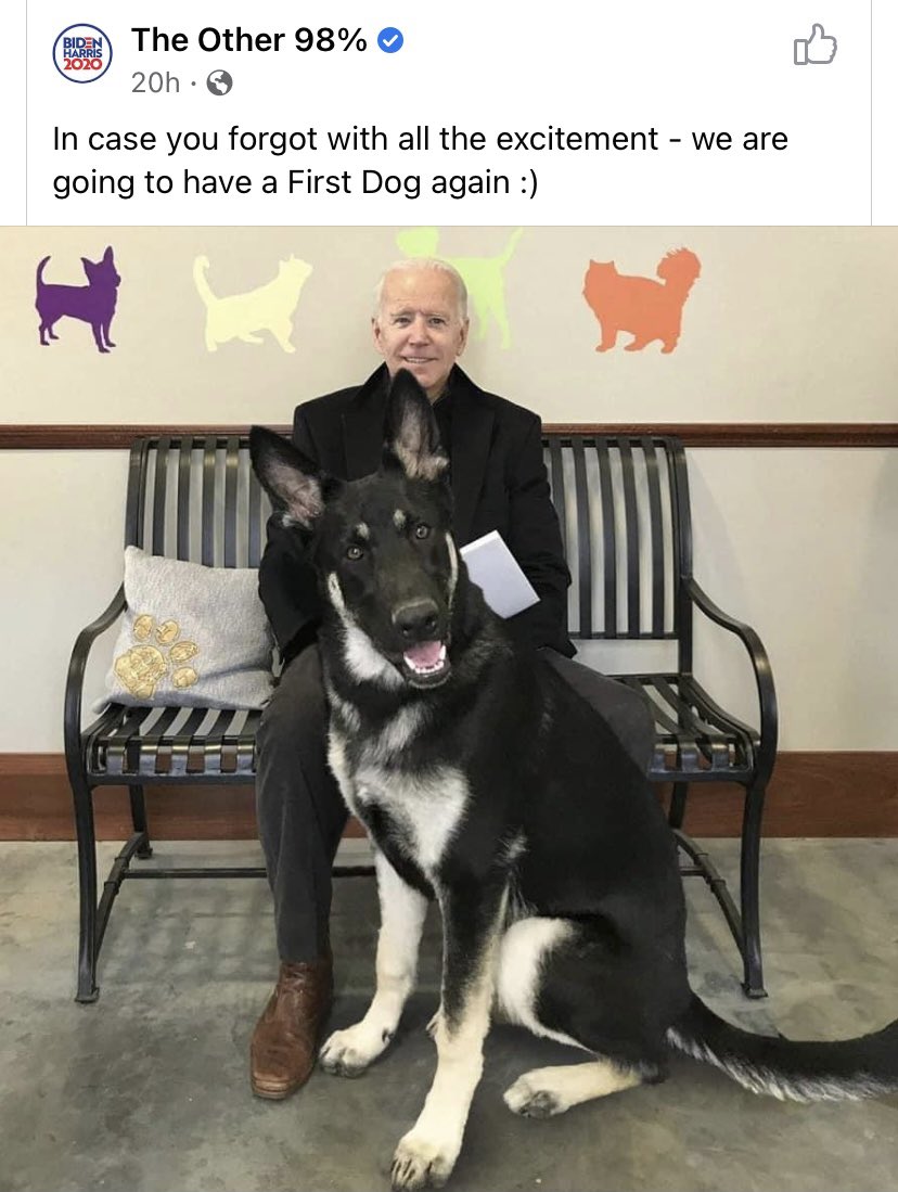 AnneMMuldowney's tweet photo. Good news just keeps coming!! https://t.co/LOrzXwT220