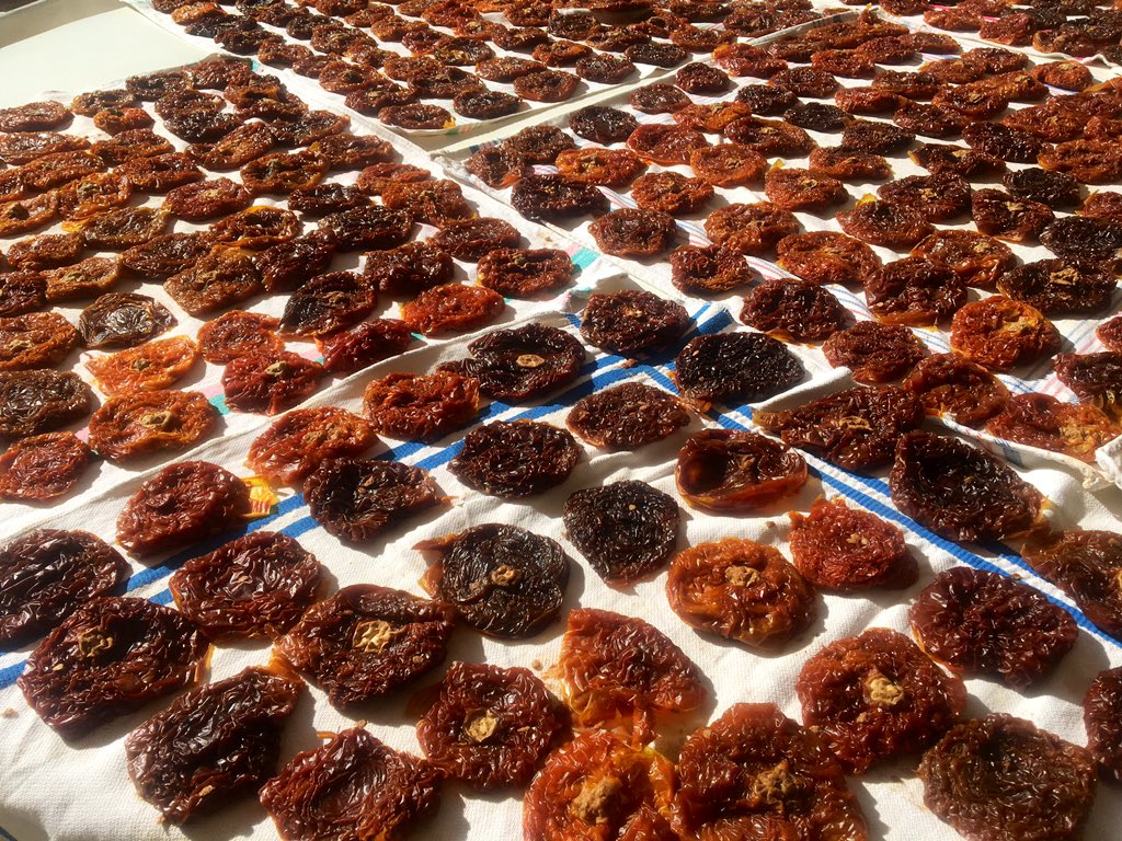 pitiusa68's tweet photo. Hoy, por fin, me he animado a preparar los #tomatessecos que tenía desde el verano. Todo un proceso: escaldar con agua y vinagre, secar de nuevo, poner en botes con ajo, anchoas y alcaparras, rellenar botes con aceite de oliva (e ir rellenando los próximos días) #ruralqueesuna https://t.co/ggWvjVbAwN