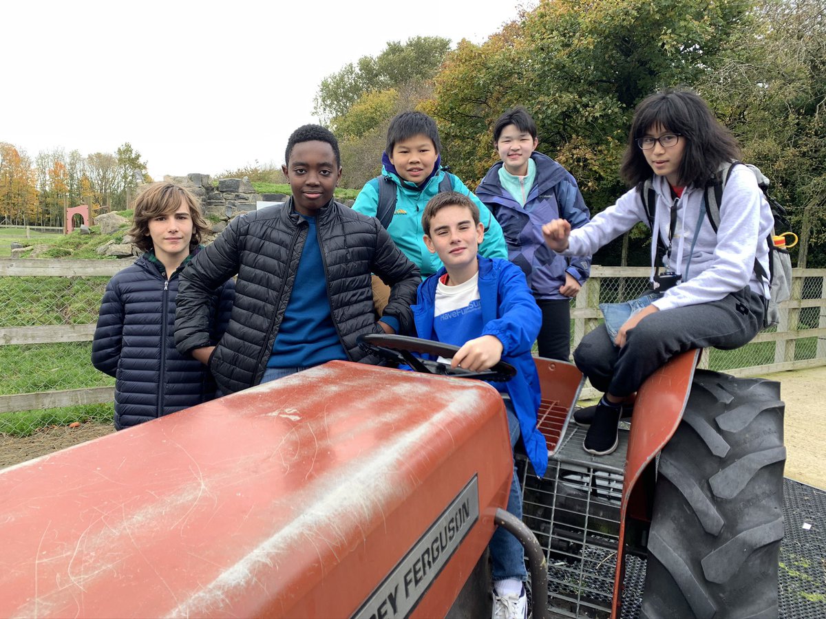 RsdBoarding's tweet photo. A LITTLE BIT OF FUN 🥳| we are family! 💕🤎
.
.
#rsd #iloveboarding #rsdboarding https://t.co/BRheOuiHE2