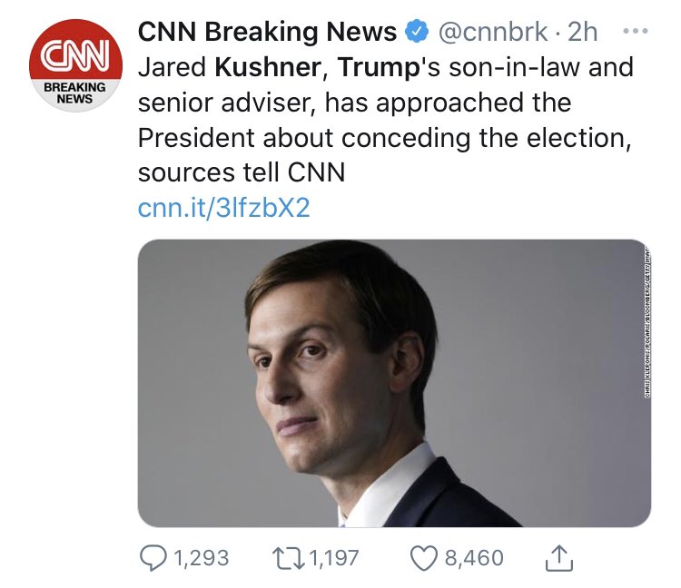 RajaKorman's tweet photo. November 8th is celebrated in some portions of the world as International Son-in-Law Faces Reality Day. https://t.co/MbNFnmeLsq