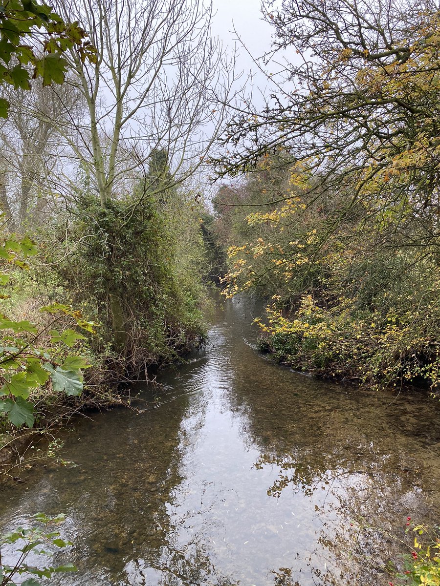 The county that just keeps on giving.
Kings Cliffe circular in misty conditions, a walk that would be incredible in any season.

northamptonshirewalks.co.uk/about/walk-98-… @northantswalks @_NeneValley @NN_BestSurprise @NNweather @NNskies