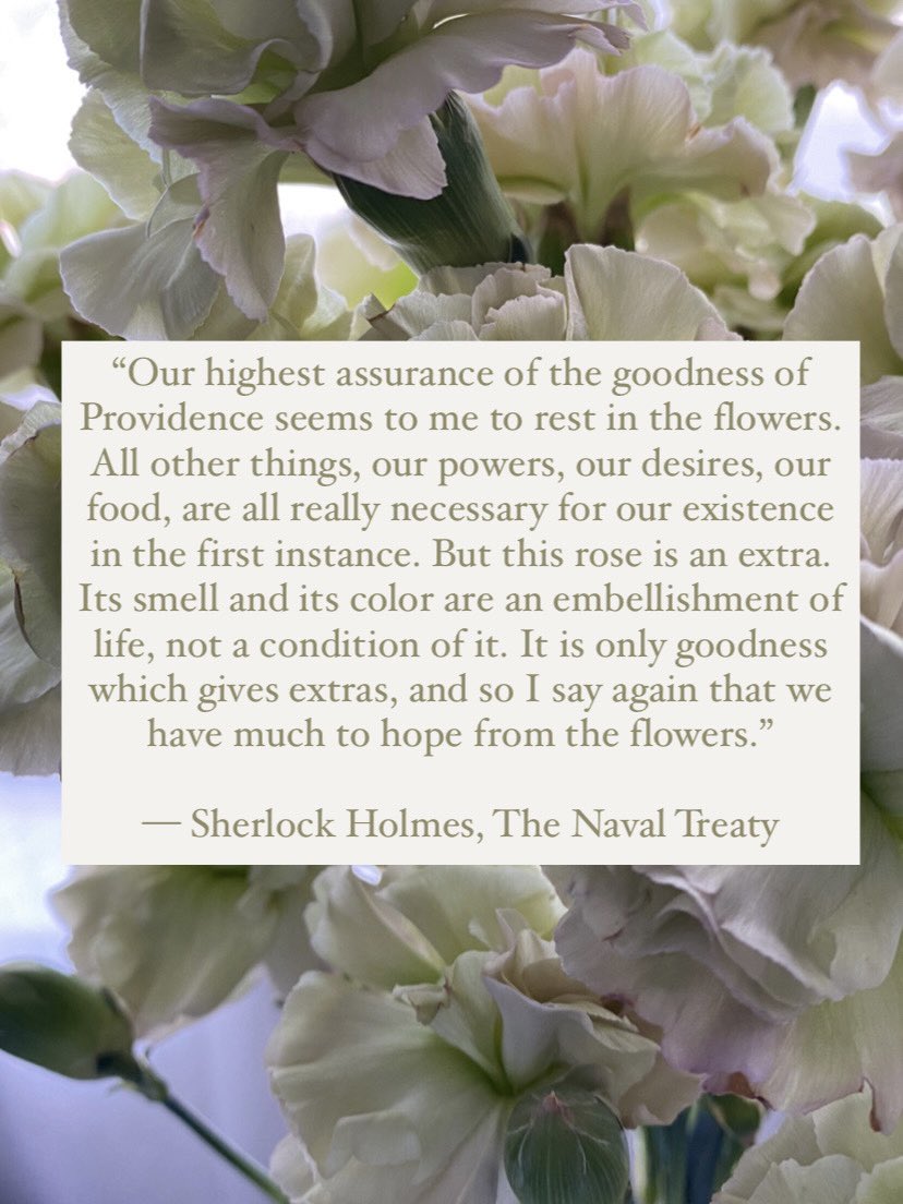 luna_libertatis's tweet image. 🌷🌸💐🌸🌷🌸💐🌸🌷🌸💐🌸🌷

“...we have much to hope from the flowers.”⁣

#SherlockHolmes #NonbinaryStyle