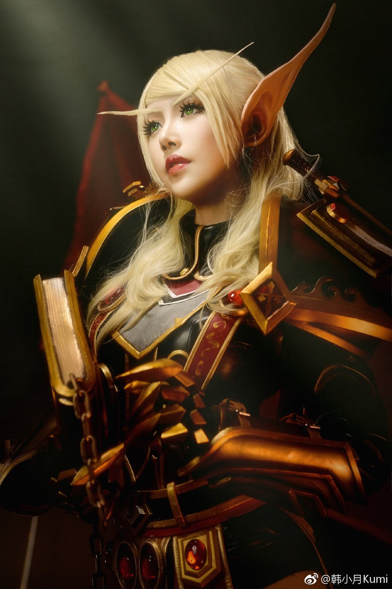 wallpapers Female Blood Elf Paladin Art blood elf paladin cosplay