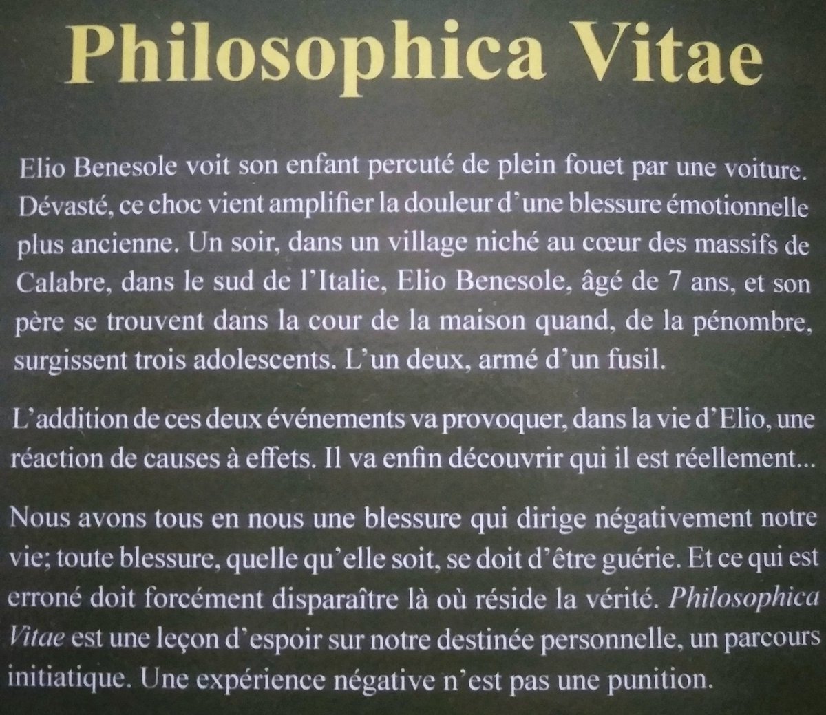 Scaerese's tweet photo. Chez votre libraire local 🤩
---- Philosophica Vitae ----
A découvrir dans beaucoup d'autres librairies en ligne à votre guise😊
Disponible en version papier et numérique ! 
Bonne lecture ❤️ https://t.co/ElohTdJk1N