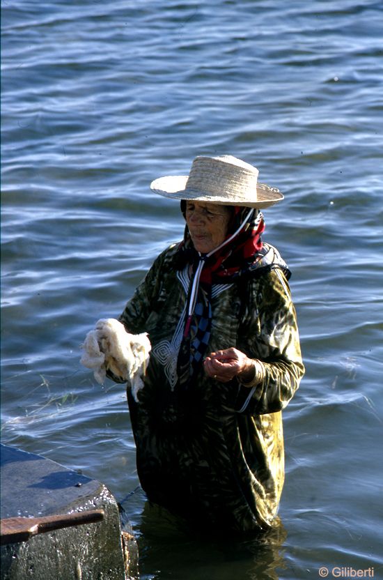 2) It's the only country in the Maghreb that has inhabited Islands and their people are sea people whose livelihoods often depends on fishing.Calypso (Kerkennah) & the island of dreams (Djerba) were mentioned in Omer's Odyssey.Djerba island is bigger than neighboring Malta!