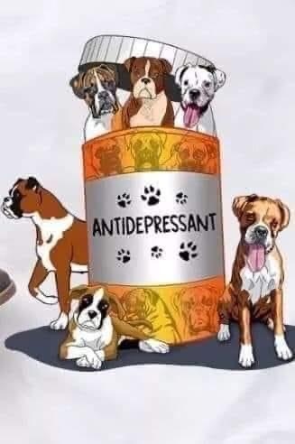 MichaelBorgBraz's tweet photo. ๐ธ๐ช Vรคrldens bรคsta medicin! ๐
๐ฌ๐ง The best medicine in the world! ๐
#boxer
#boxers
#boxerdog
#boxerdogs
#boxerlover
#boxerlovers
#boxerfanclub
#boxerbond
#boxerbonds https://t.co/OpaLNwvy7n
