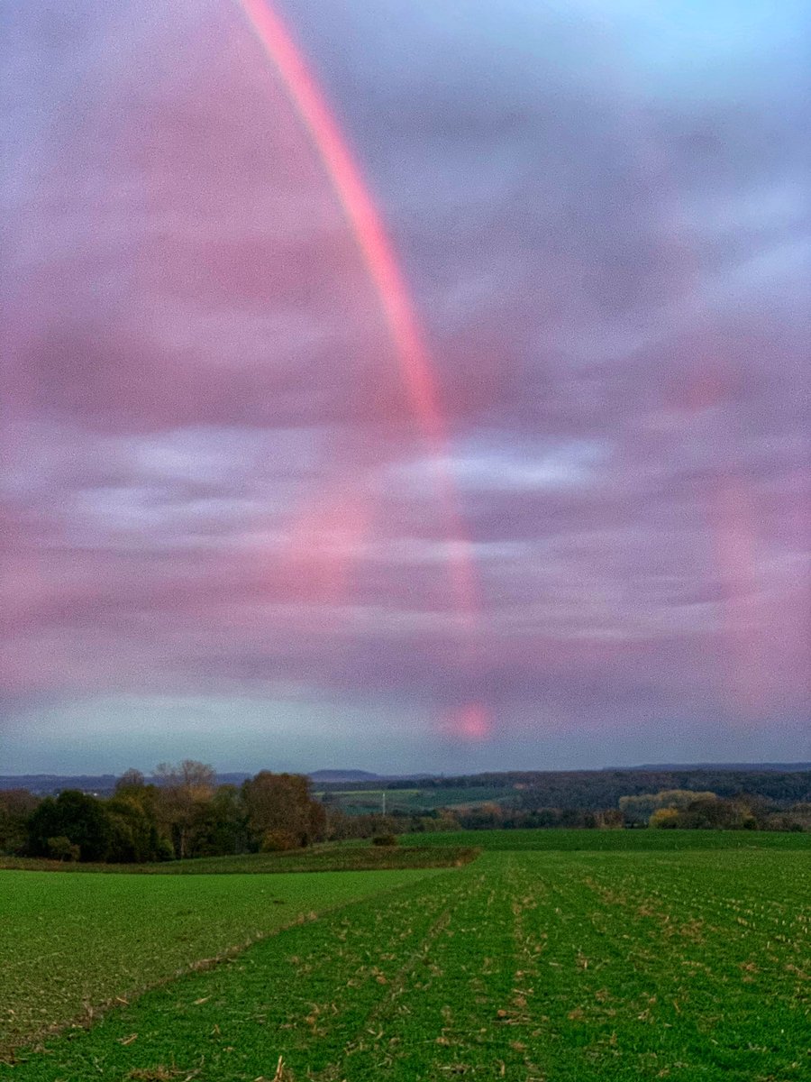 BrigitteSlenter's tweet image. Rondje 🚲 Maasberg. Prachtige lucht 😍@magnifiekZL @Limb_Landschap @VisitZL #fietseninlimburg #zuidlimburg #Elsloo #jezultermaarwonen