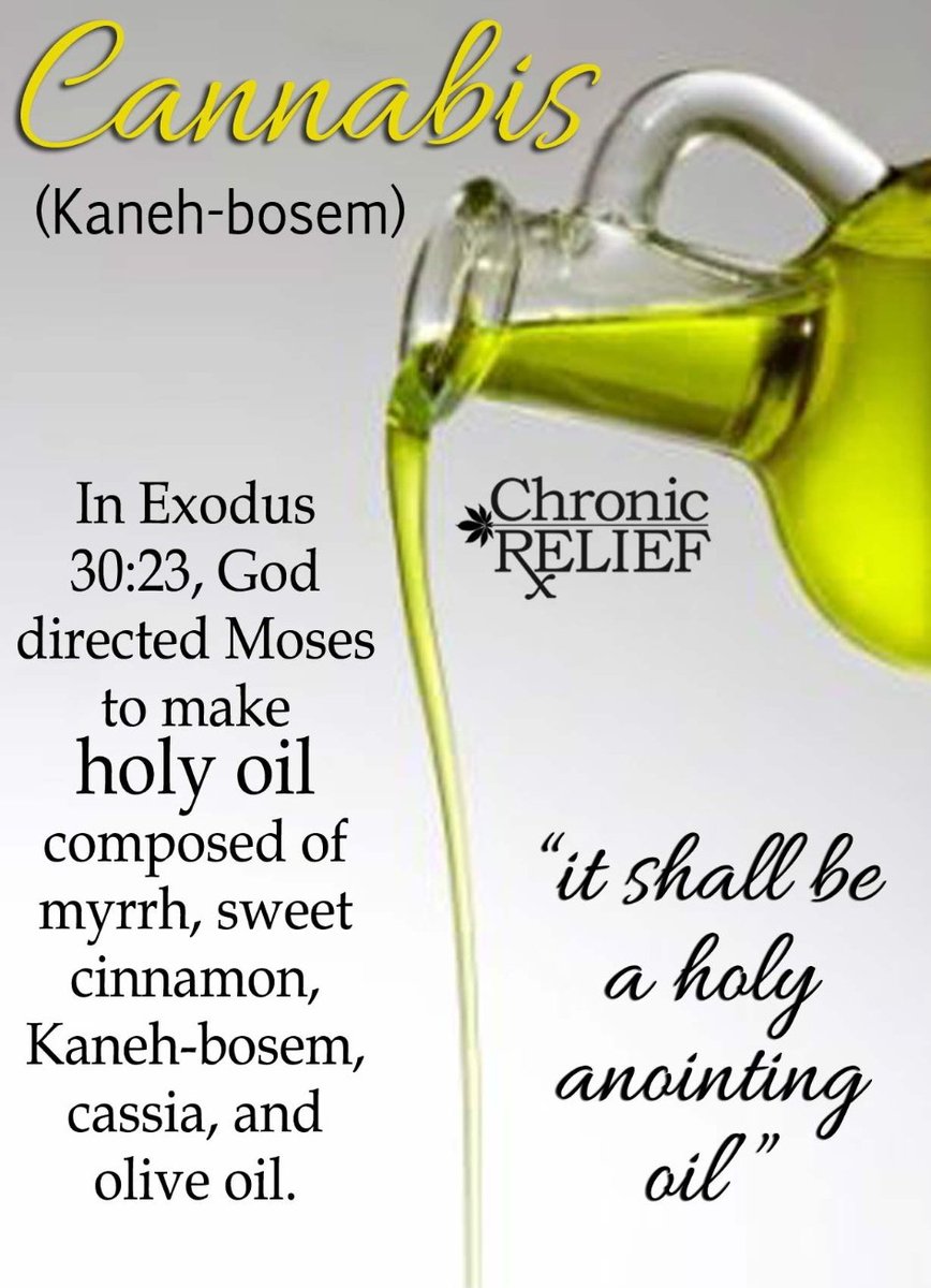 Soulinahole's tweet photo. @BrianMuraresku @BU_Tweets @nytimes I have seen various hypotheses saying:
One if the major ingredients to #HolyAnointingOil was/is multiple POUNDS (lbs) of #Cannabis among other psychoactive ingredients that could be sourced around the MiddleEast, In Which the recipe was only known by the highest of #HolyPriests. https://t.co/qkl8zsZml6