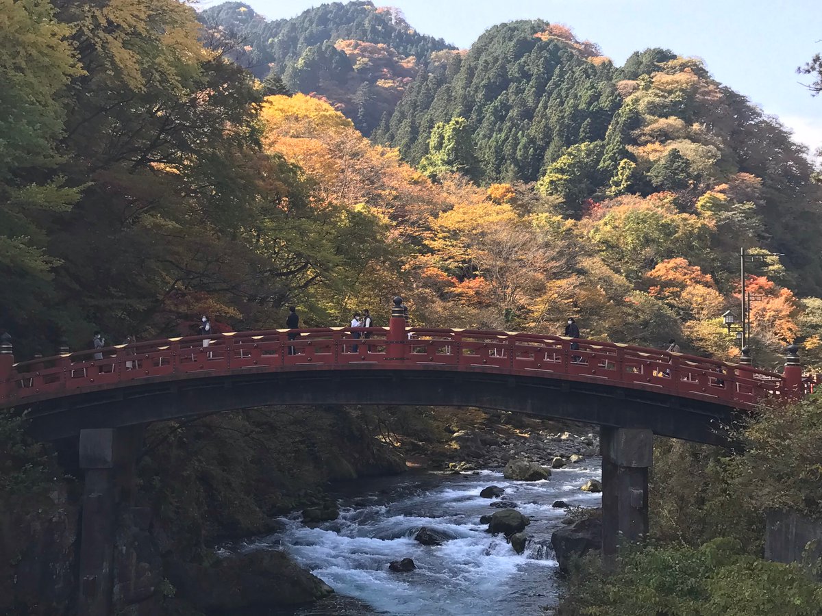maycatherine08's tweet photo. Nikko during Autumn.. 🍁🍁🍁 https://t.co/VdYwkmFNdw