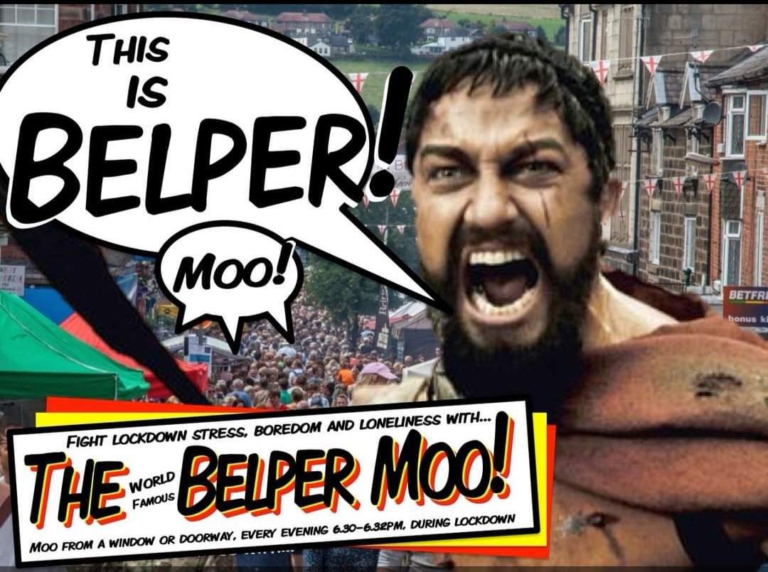 thebelpermoo's tweet photo. THIS IS BELPER! 

WE ARE MOOING! 

thank you to everyone joining in new and returning to spread the laughter and the silly. We can already feel a difference in the air at that magic time of night 🐄

#thebelpermoo #lockdownmoo #belper https://t.co/OCBxDhJNy3